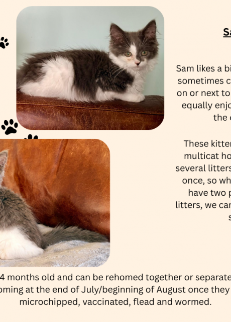 4Kits-2
